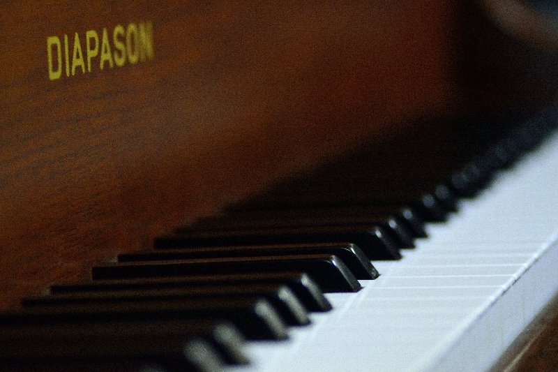 DIAPASON(ディアパソン)170H