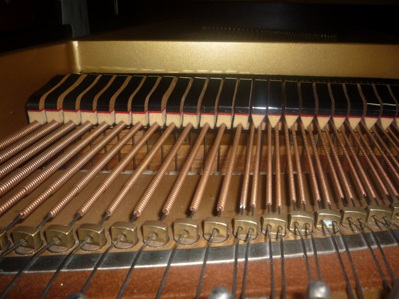 DIAPASON(ディアパソン)170H(USED)