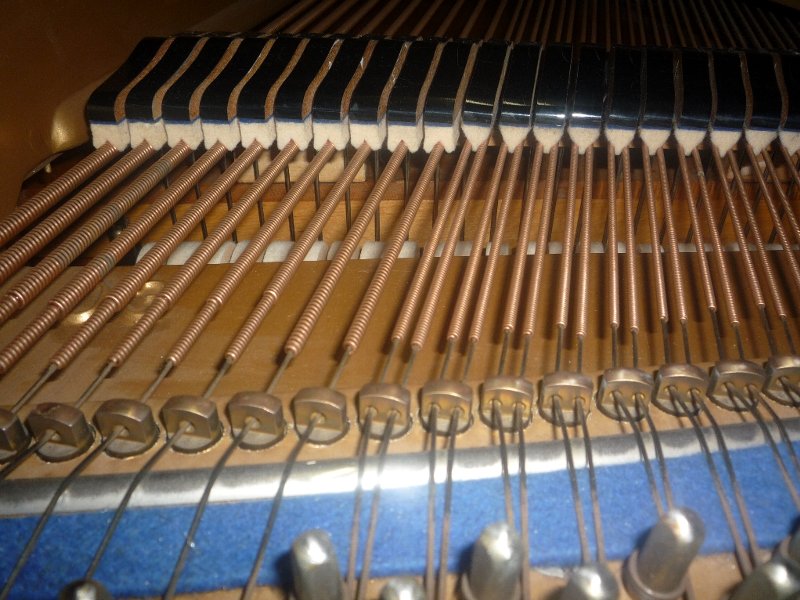KAWAI（カワイ）KG-20（USED）